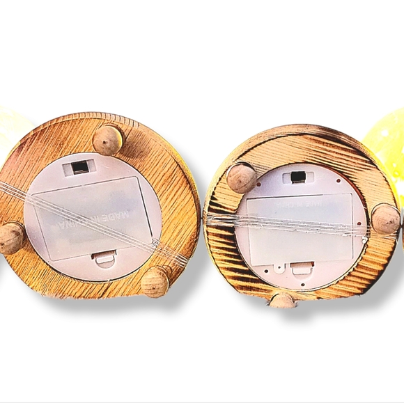 Silk Rose real preserved rose petals with Led Light String batteries Included - Picture 11 of 16